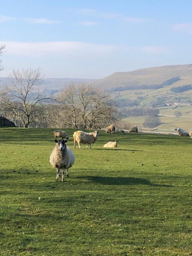 Quarry Cottage Near Hawes, Yorkshire Dales, Pet Free מראה חיצוני תמונה